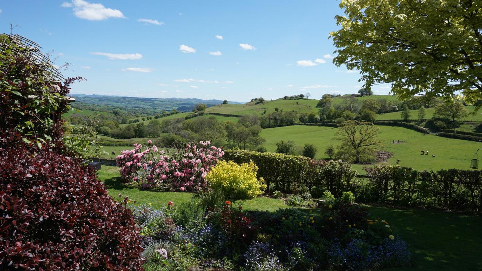 Sheep Dip Cottage - 5* Cyfie Farm, With Log Burner And Private Hot Tub Llanfyllin Exterior photo